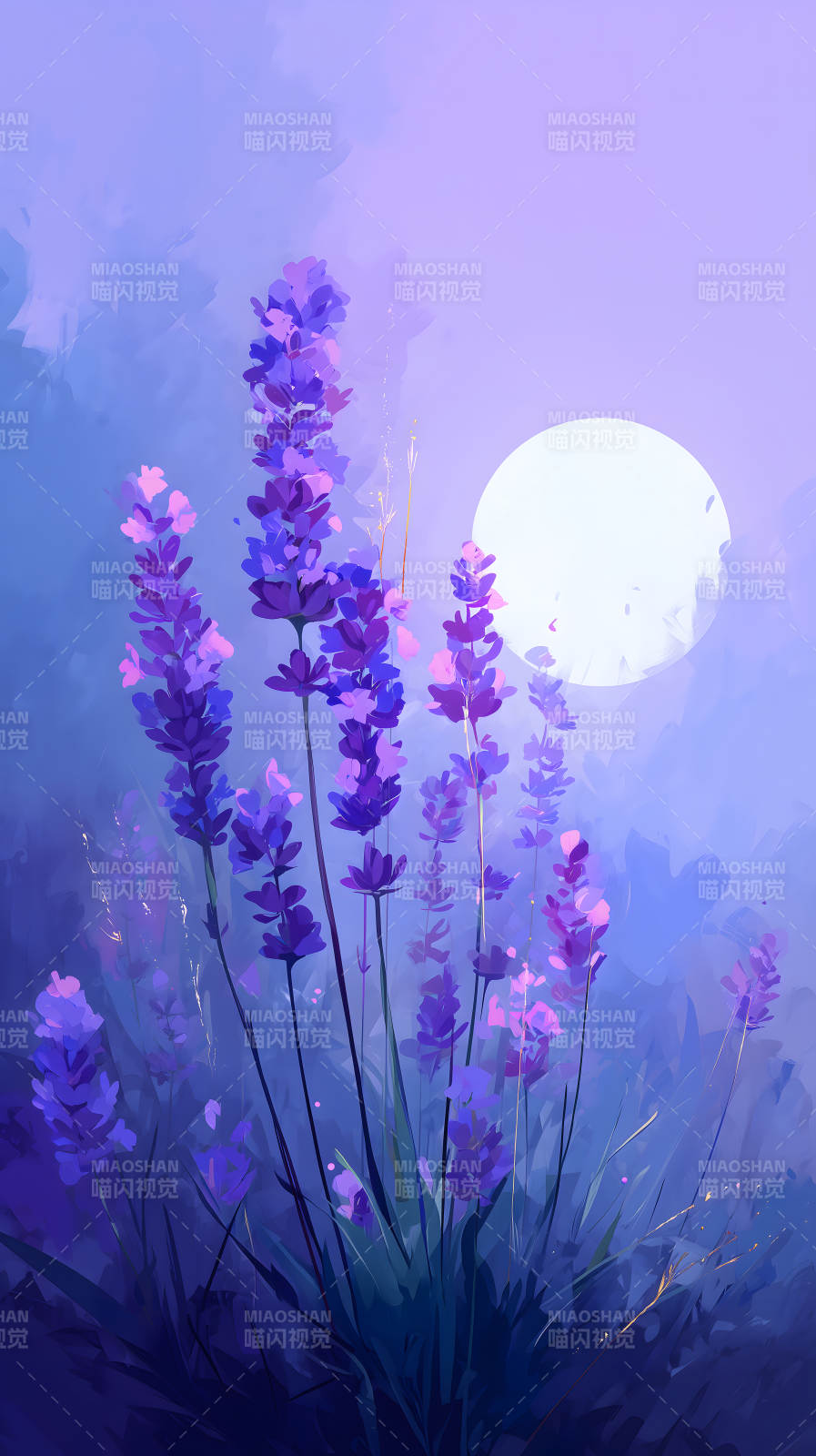 薰衣草月光下-图片