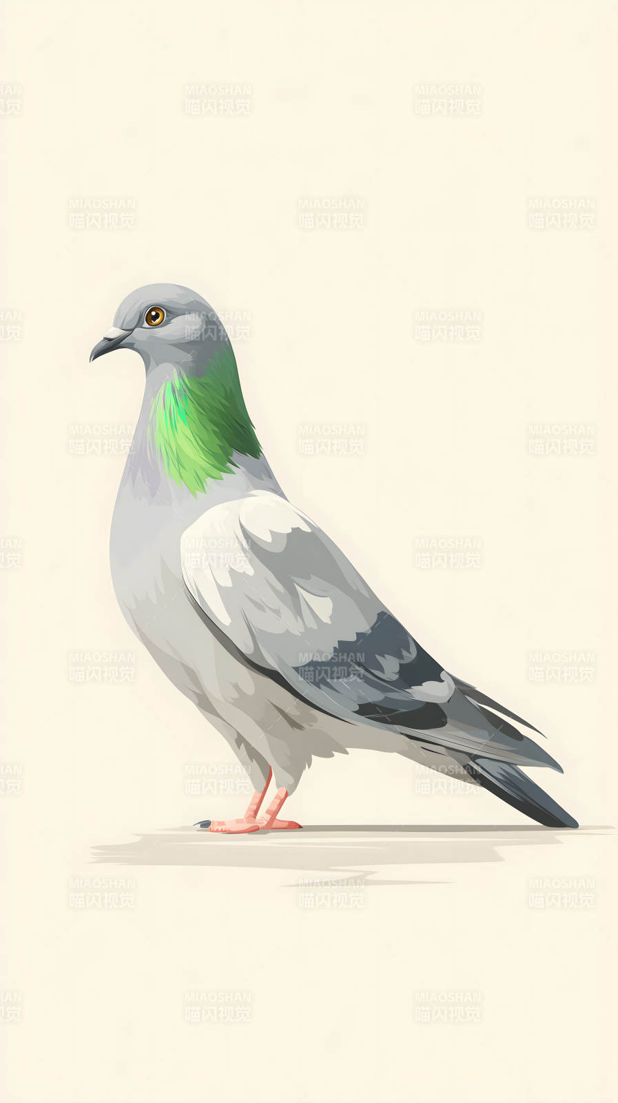 鴿子卡通圖-圖片