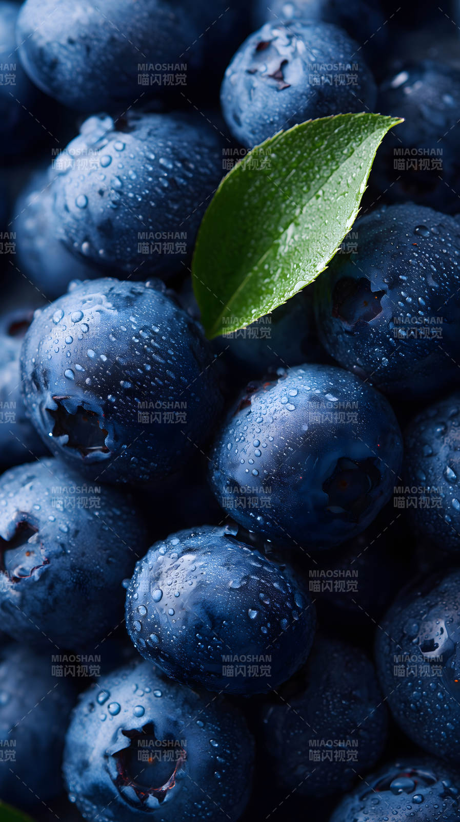 新鲜多汁的蓝莓特写-图片