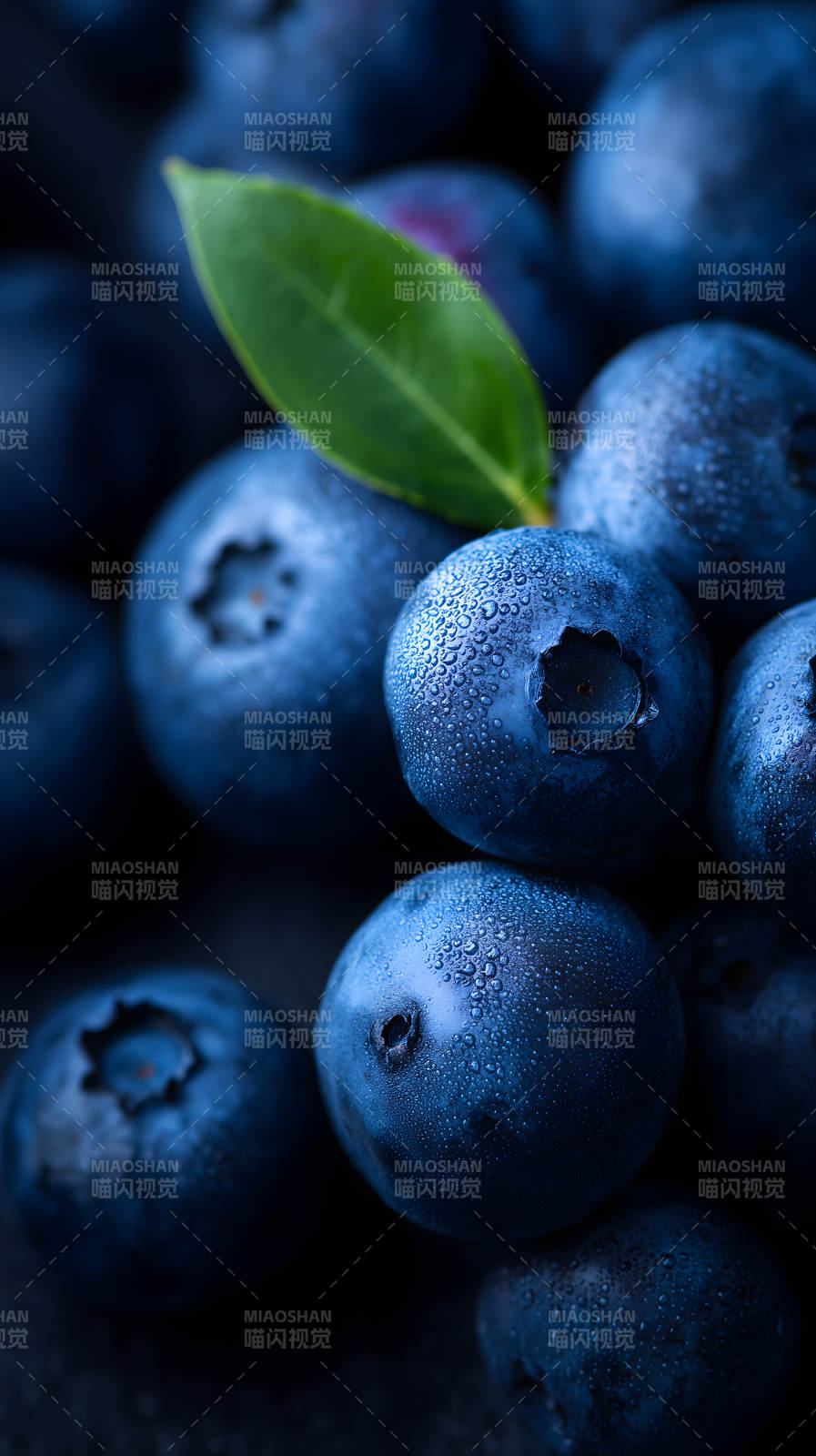 新鲜的蓝莓特写-图片