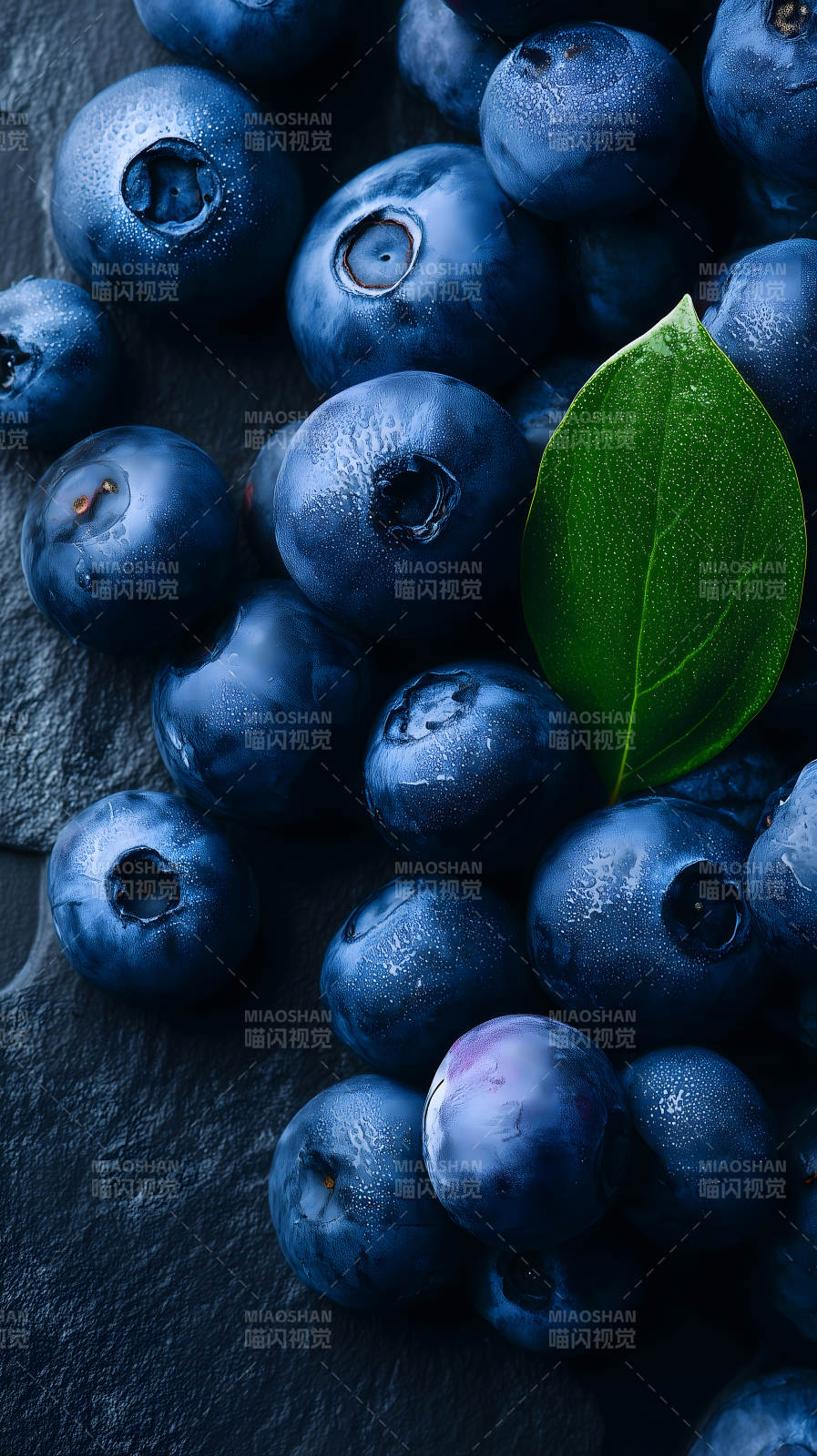 藍莓與綠葉特寫-圖片