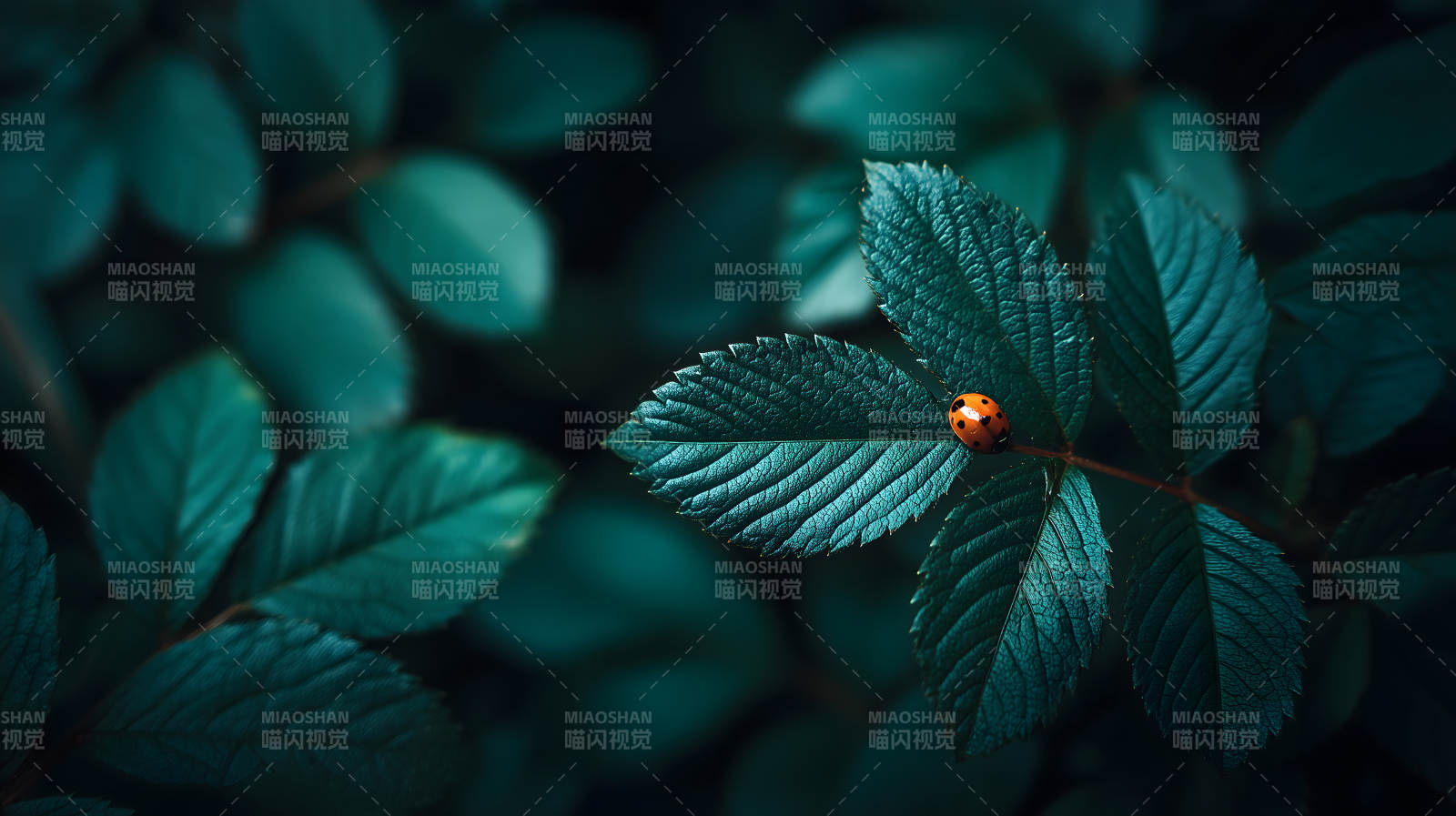 翠叶红虫静谧之美-图片