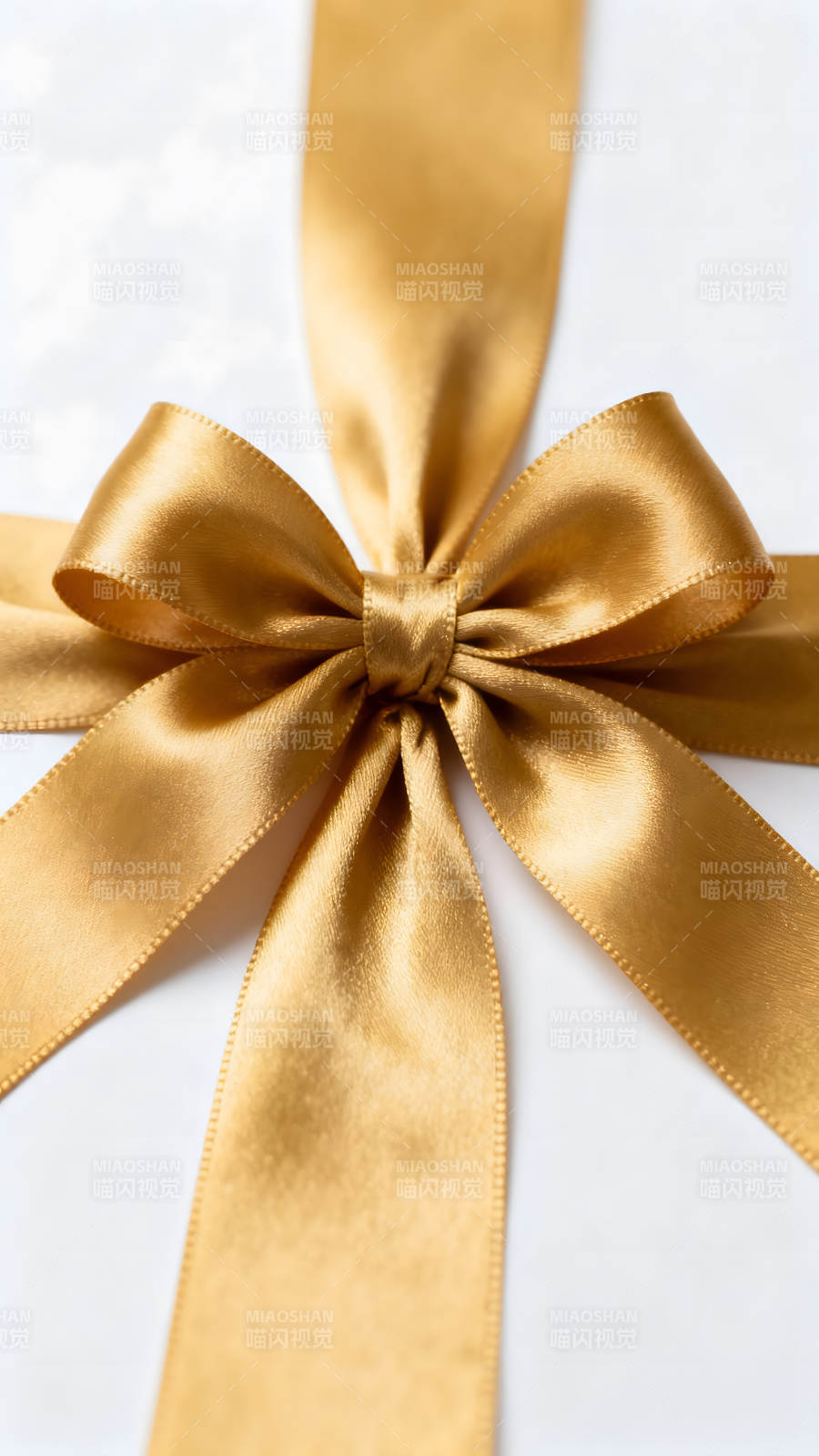 金丝带蝴蝶结特写-图片