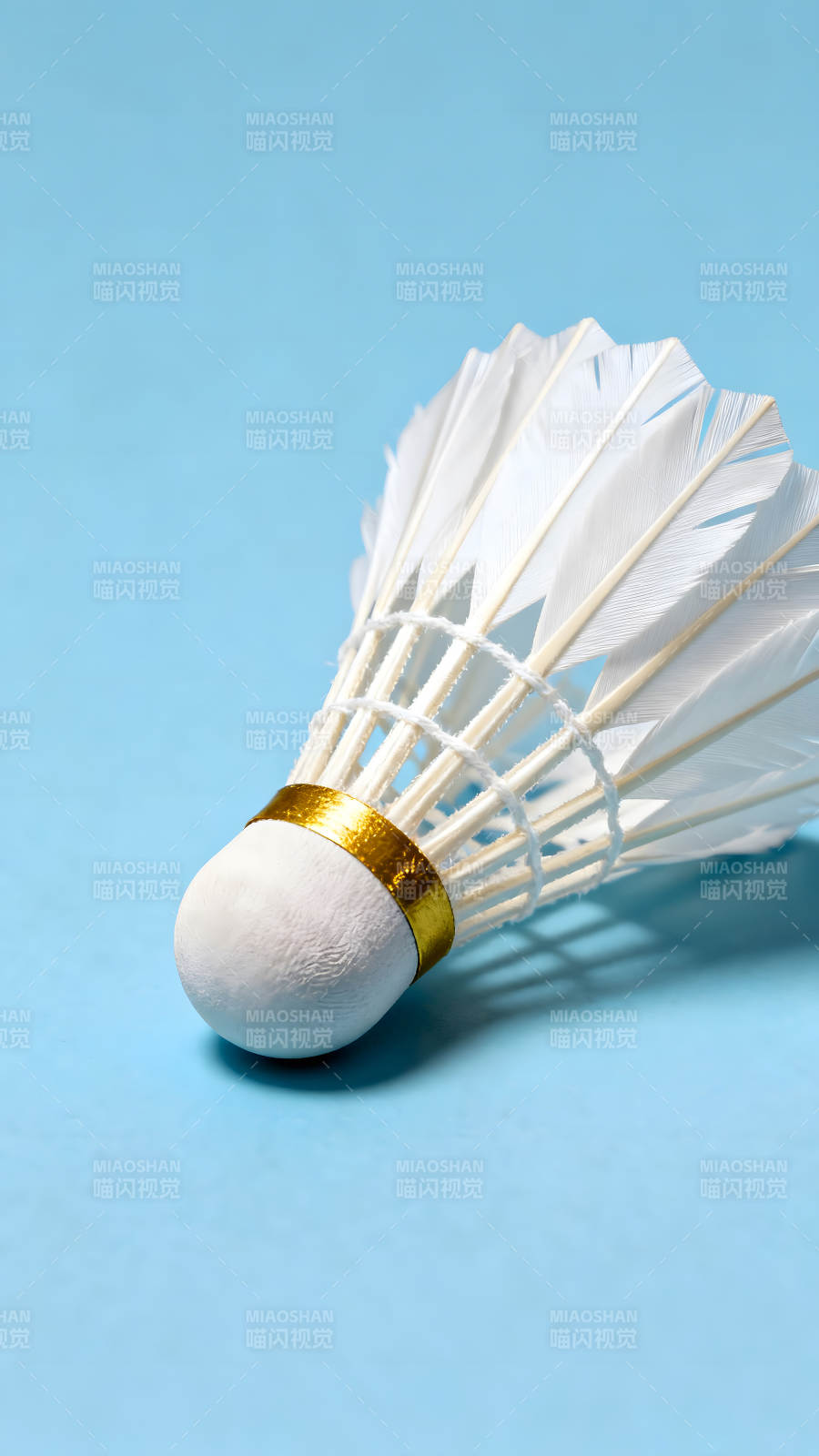 羽毛球特写蓝底衬托-图片