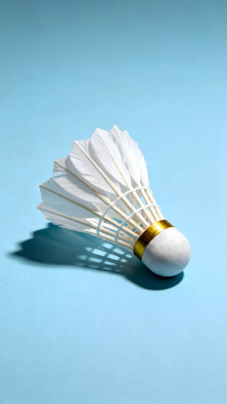 羽毛球特寫藍(lán)底色-圖片