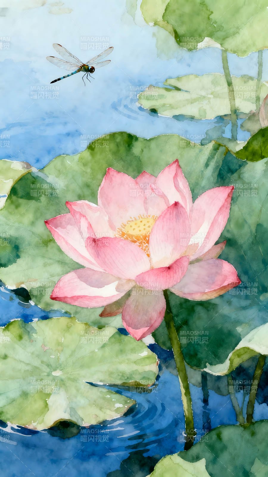 粉色莲花蜻蜓在水上-图片