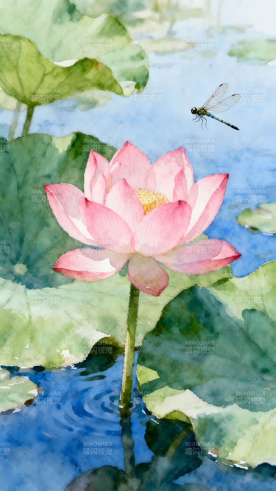 粉色莲花与蜻蜓在水中绽放-图片