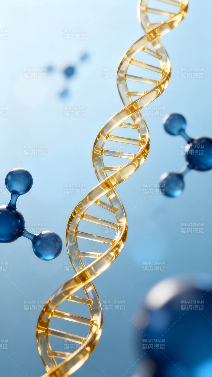 DNA螺旋结构及分子模型图-图片