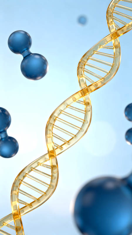 DNA双螺旋结构和分子模型-图片