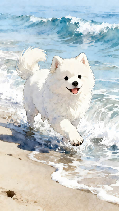 狗狗海边玩耍很开心-图片