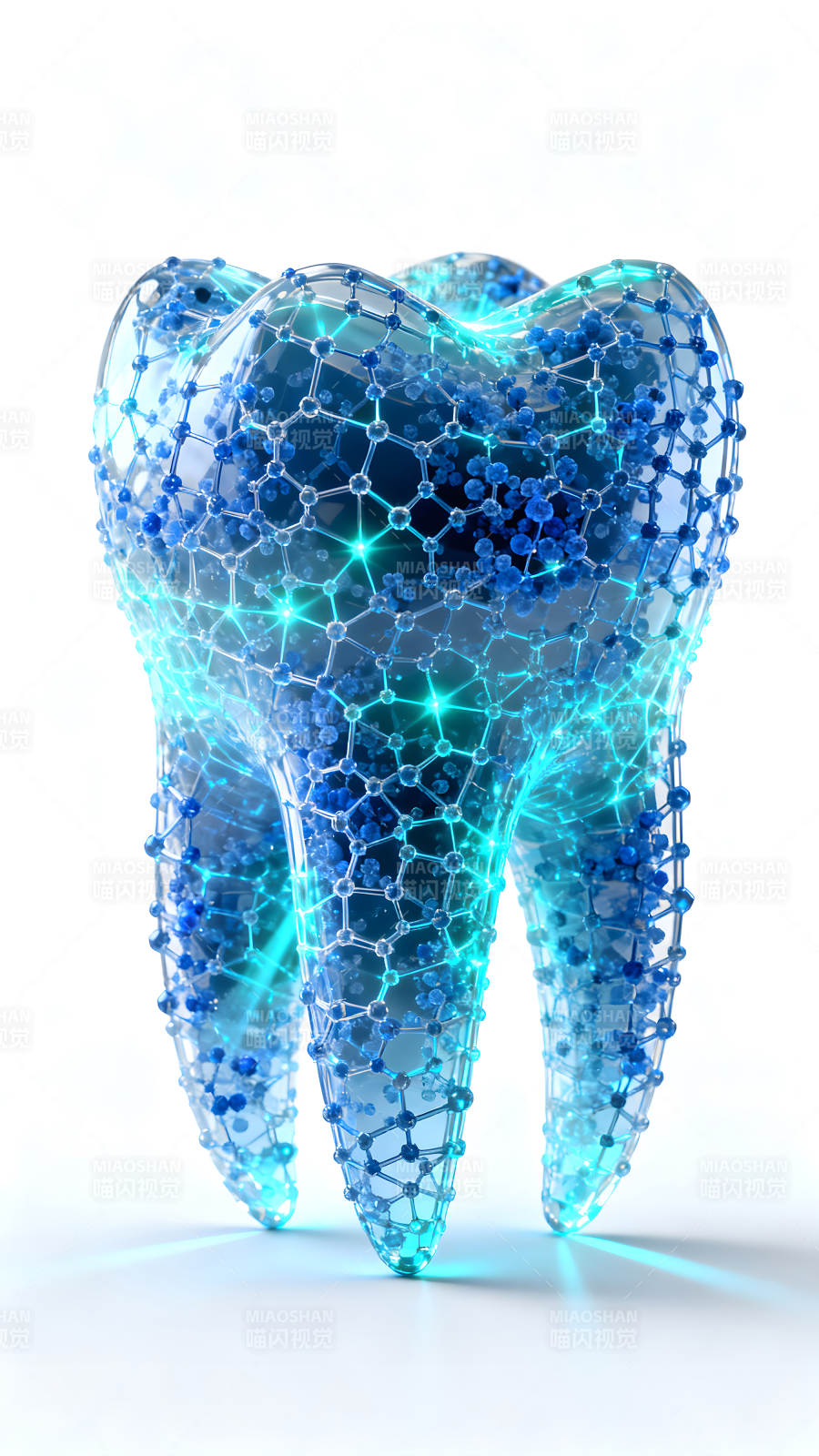 科技感牙齒結構展示-圖片