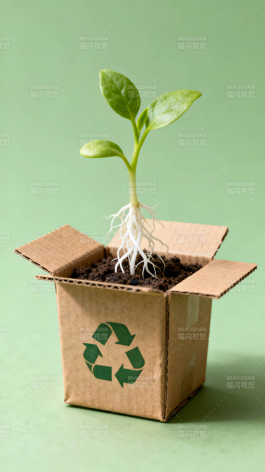 綠色環保理念下的植物生長-圖片