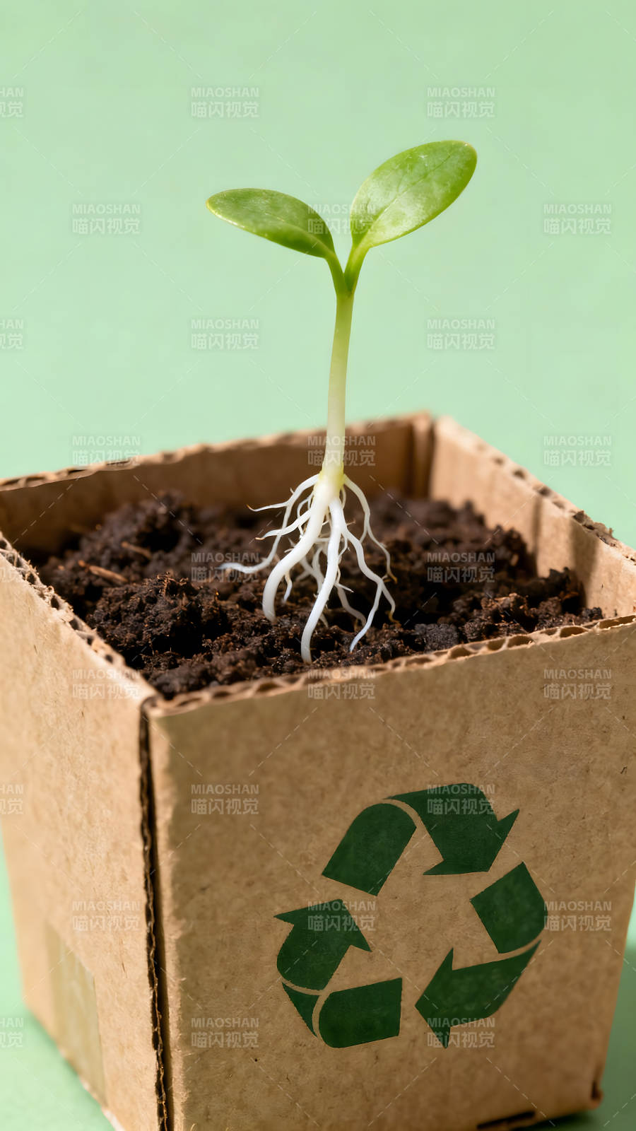 小苗在回收紙盒中生長環保與新生的象征-圖片