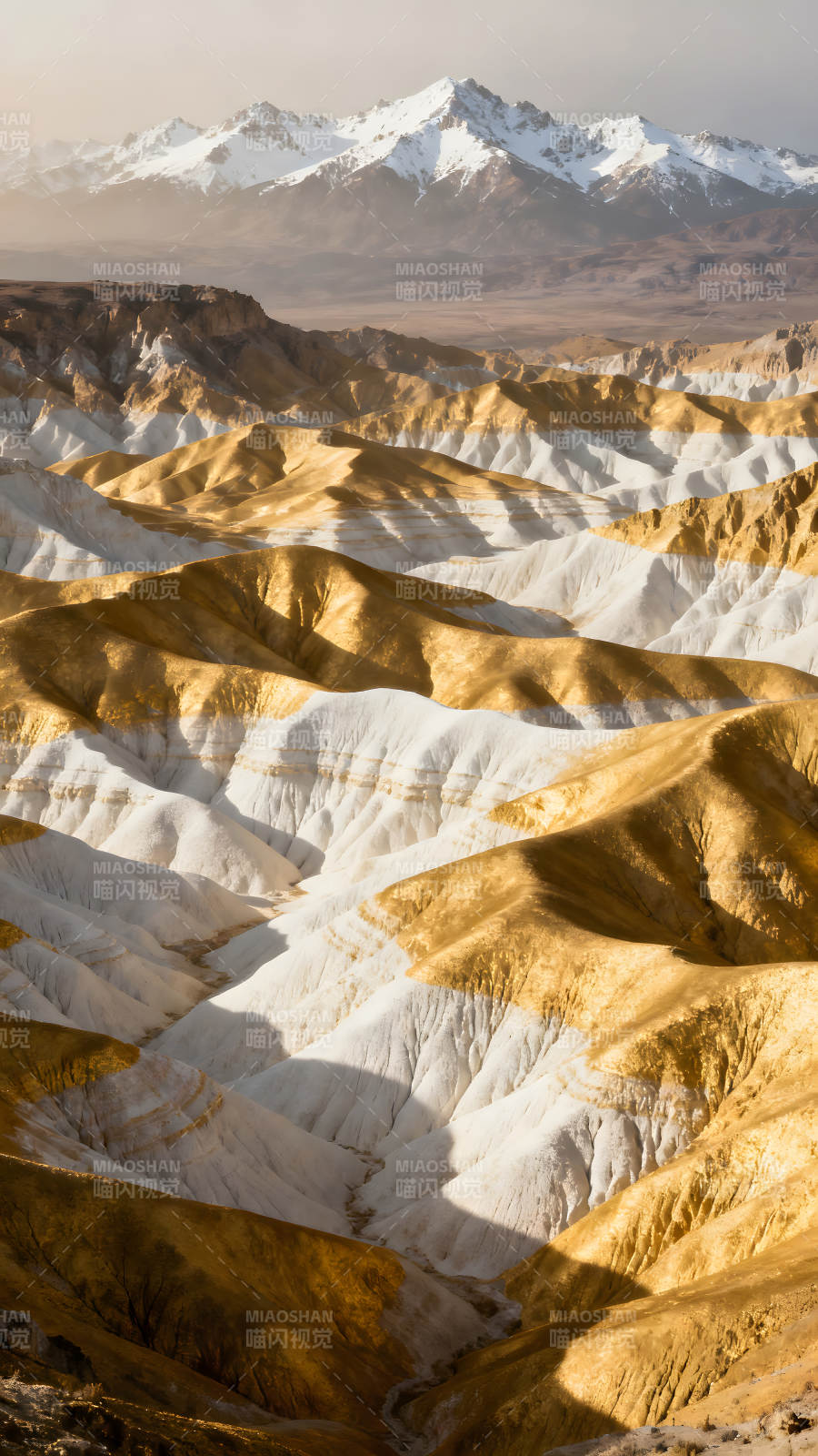 金色白色山丘與雪山-圖片