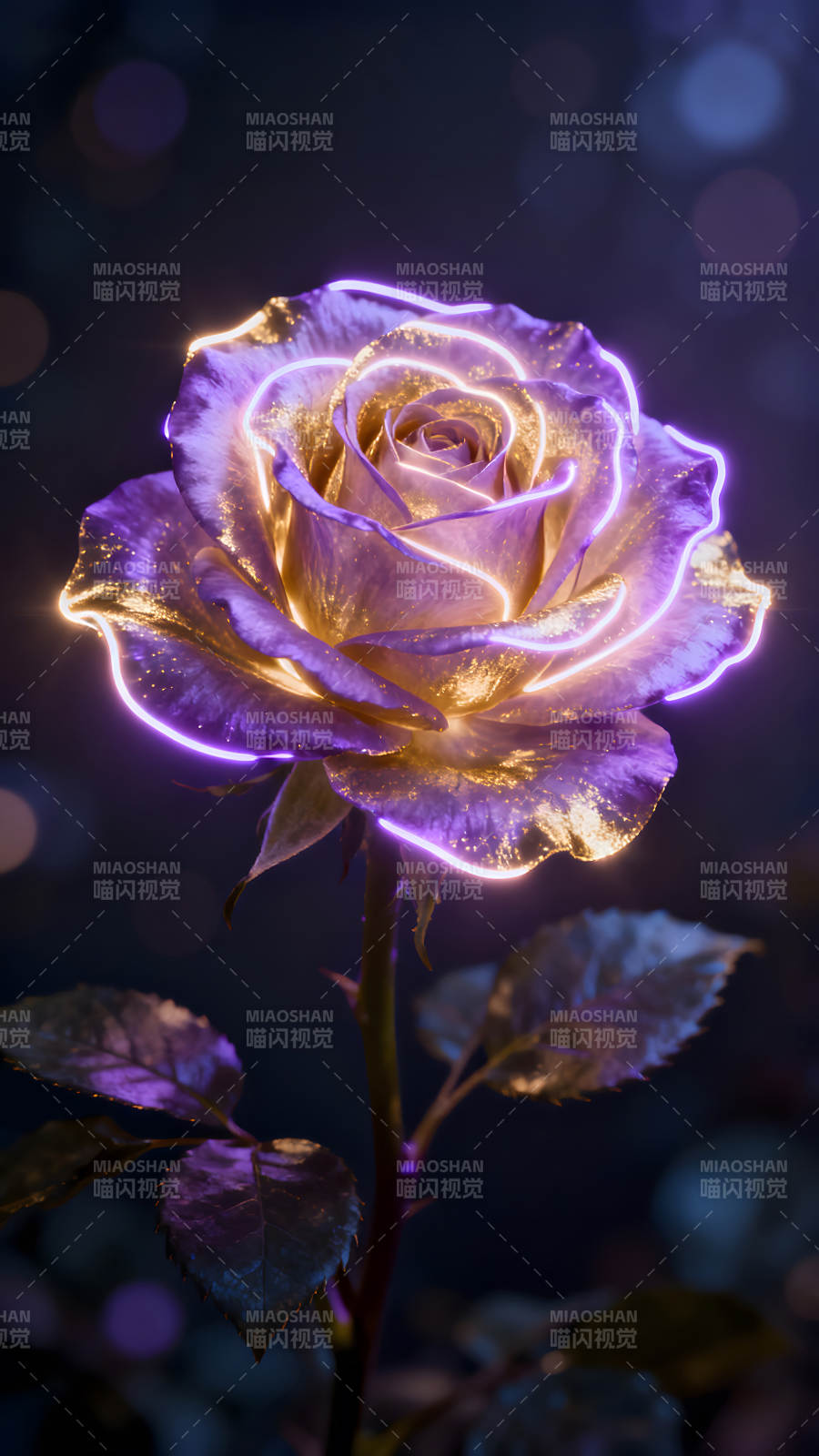 發光玫瑰花朵在深色背景下綻放-圖片