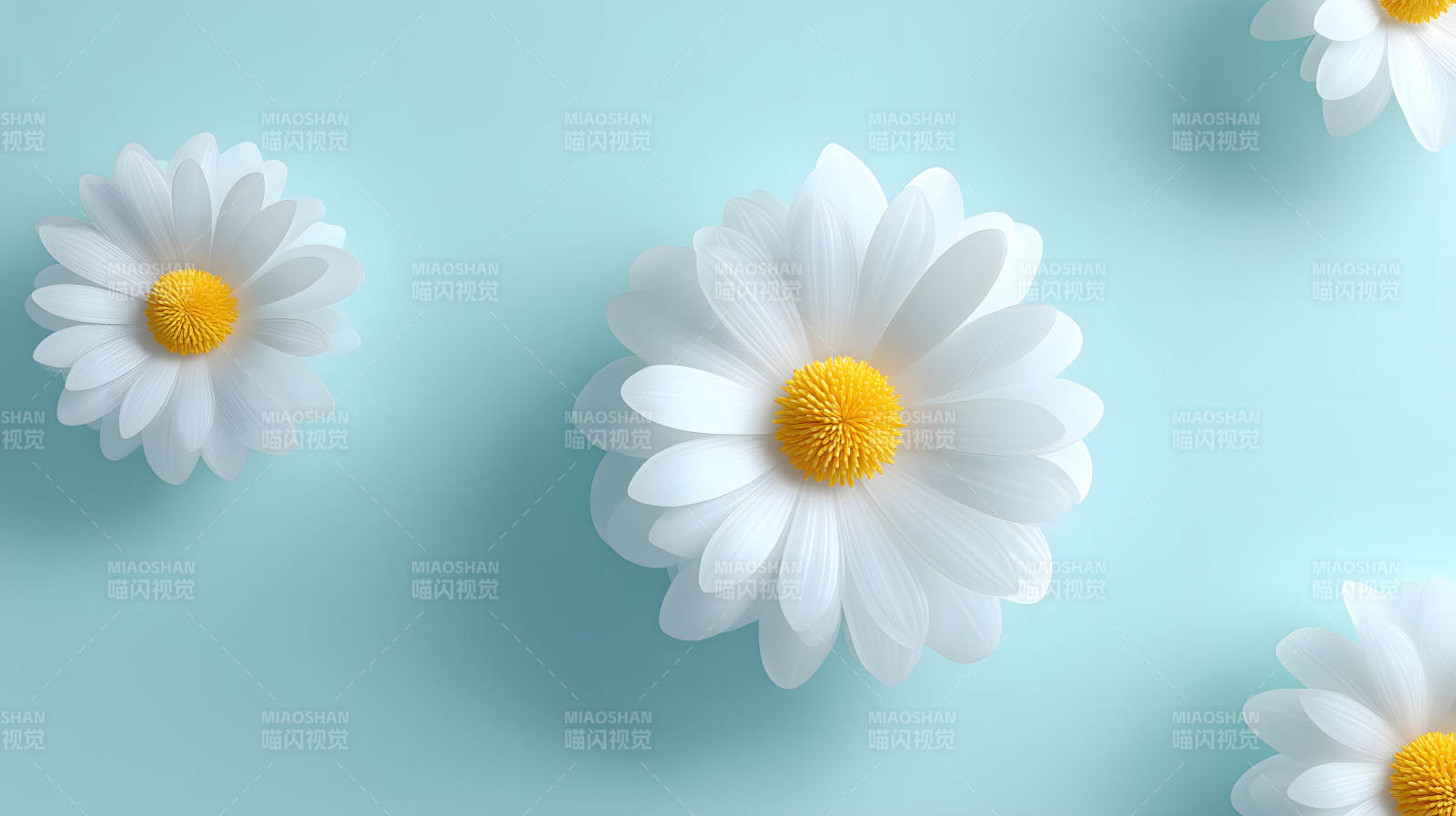 蓝底白花清新图片-图片