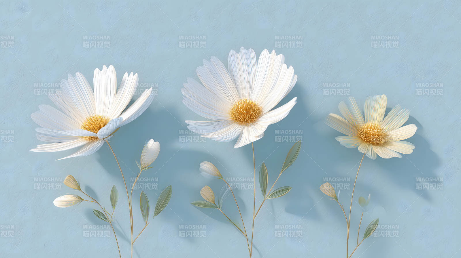唯美白色花朵蓝色背景-图片