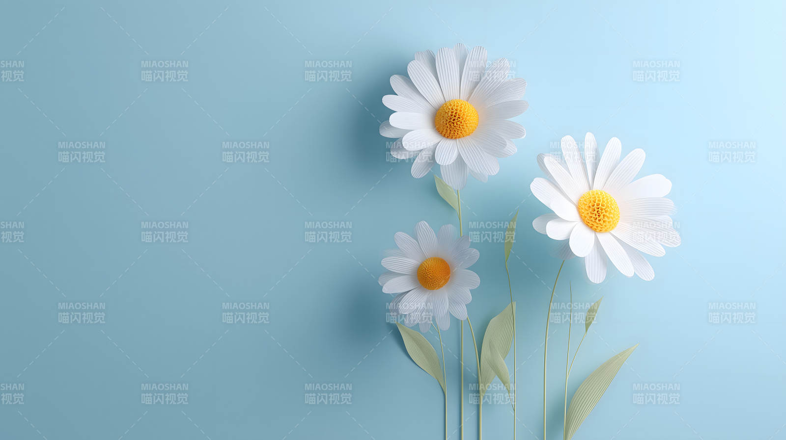 藍天白花清新意境-圖片