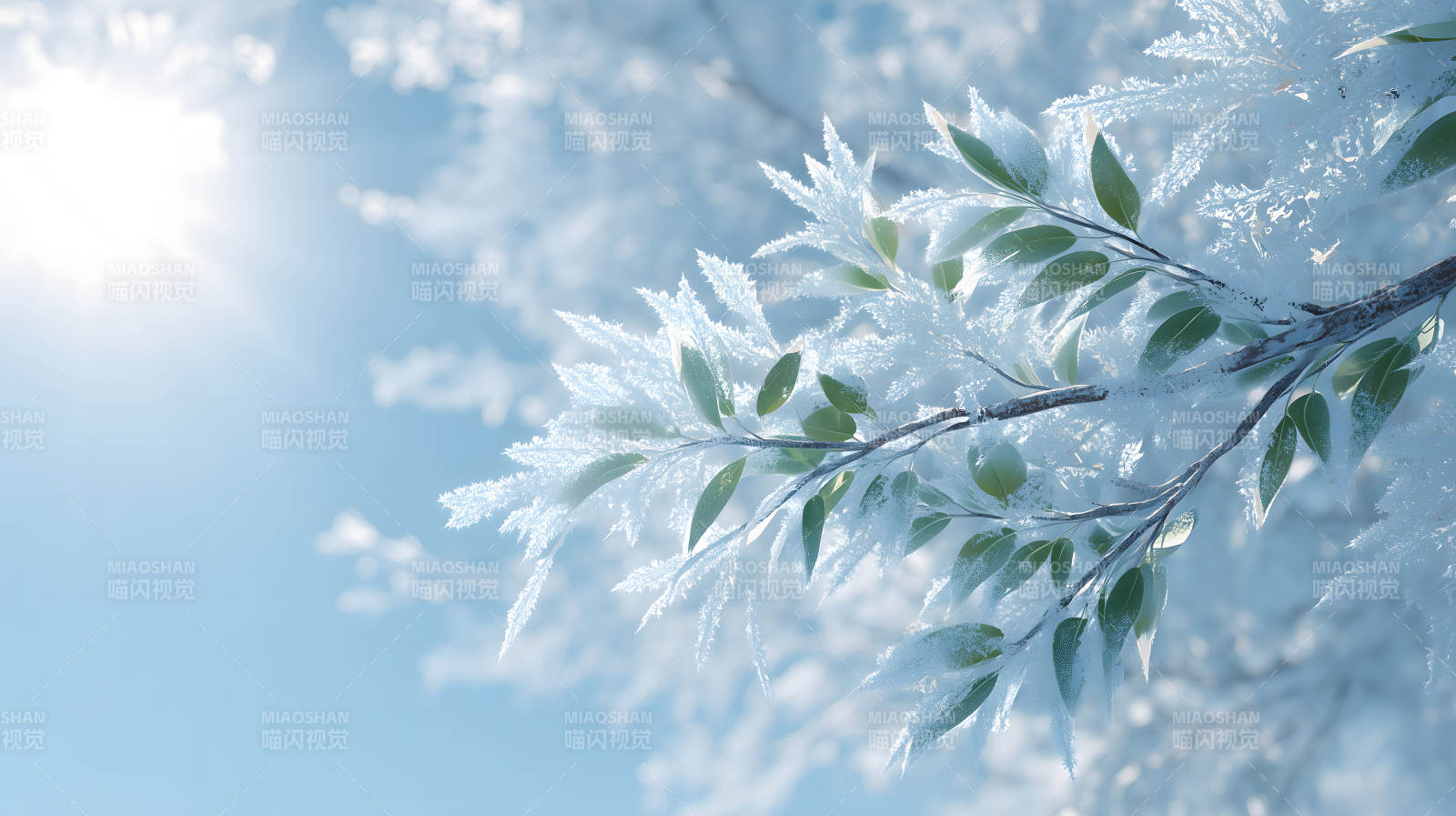 寒冷冬日枝葉掛滿冰霜-圖片