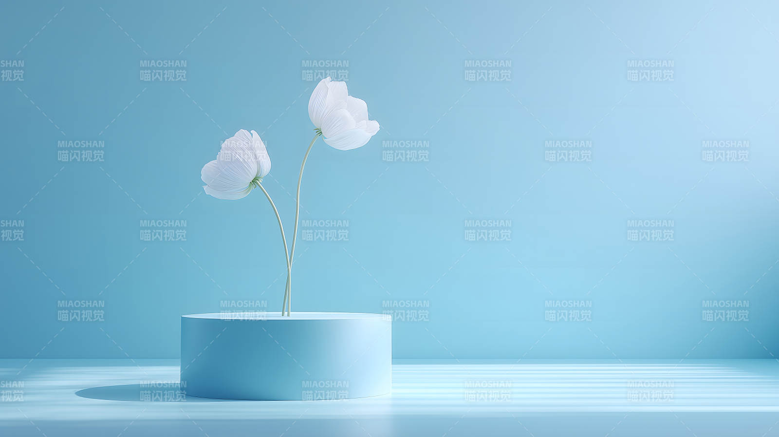 两朵白花蓝底设计简约风格-图片