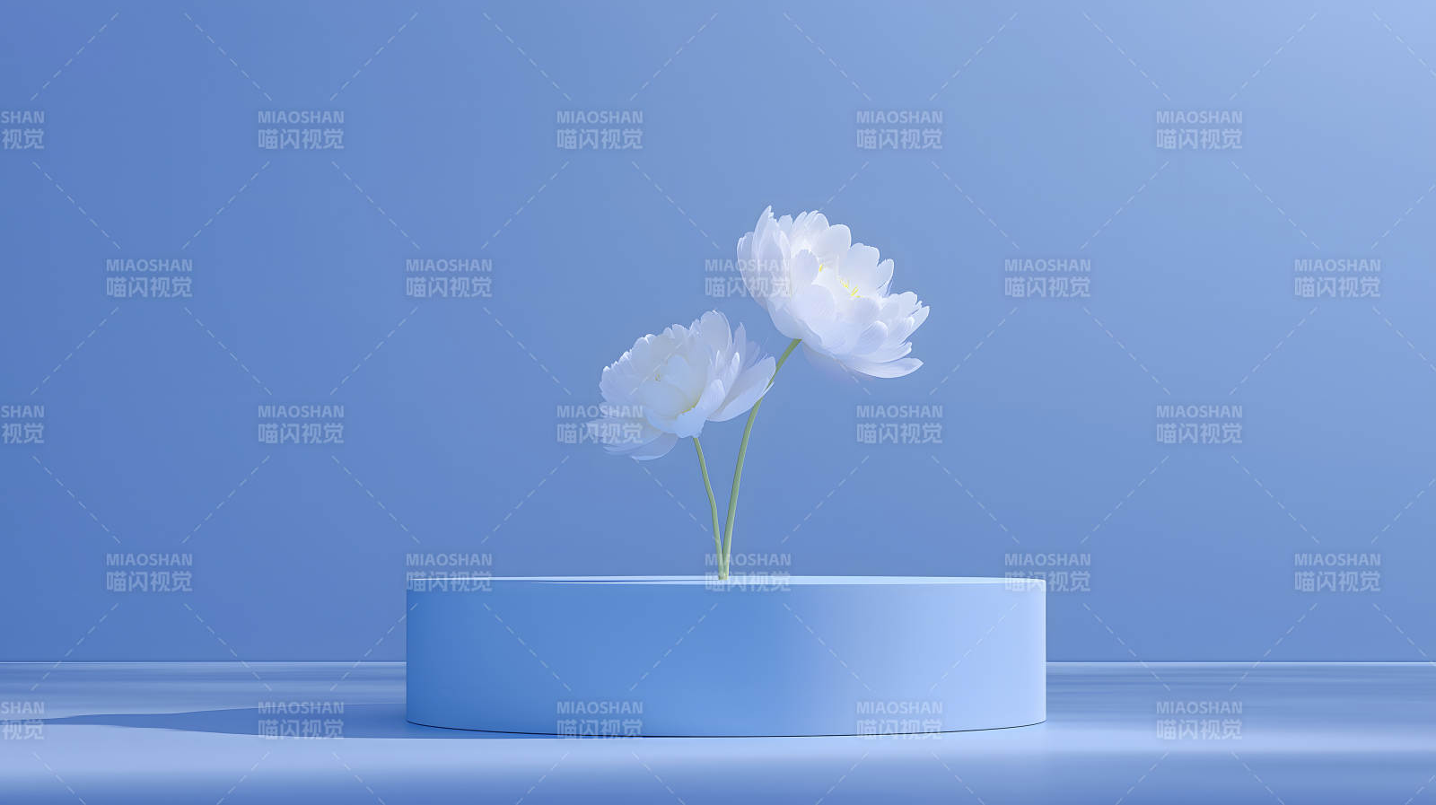 蓝调花束静谧展示-图片