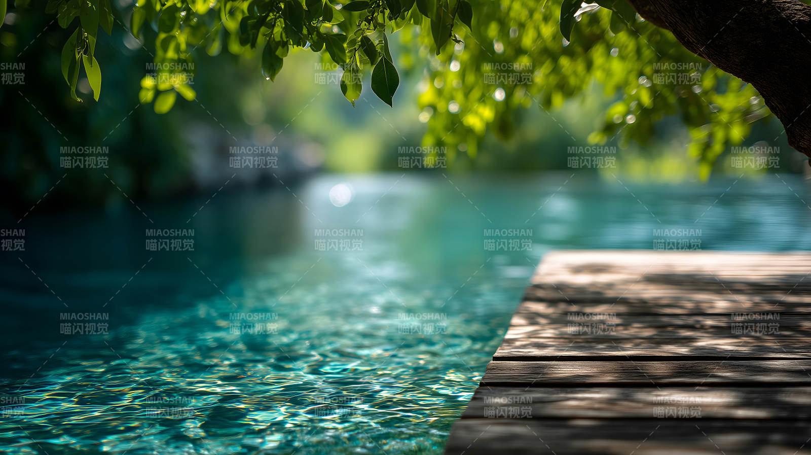 碧波蕩漾綠葉搖曳光影斑駁-圖片