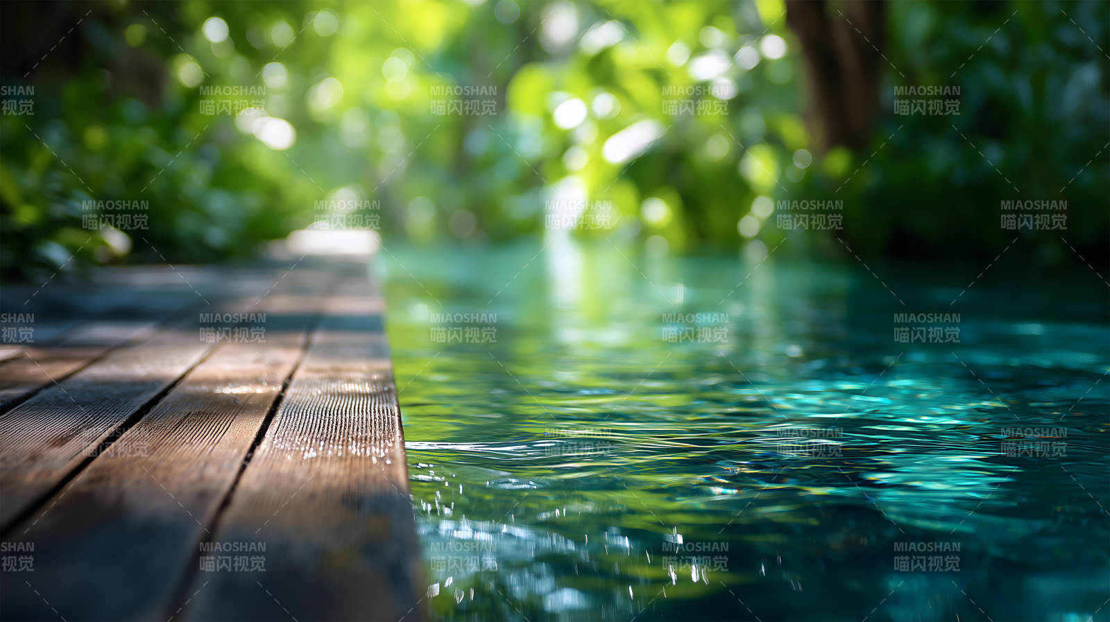 水邊木板與綠植的寧靜景象-圖片