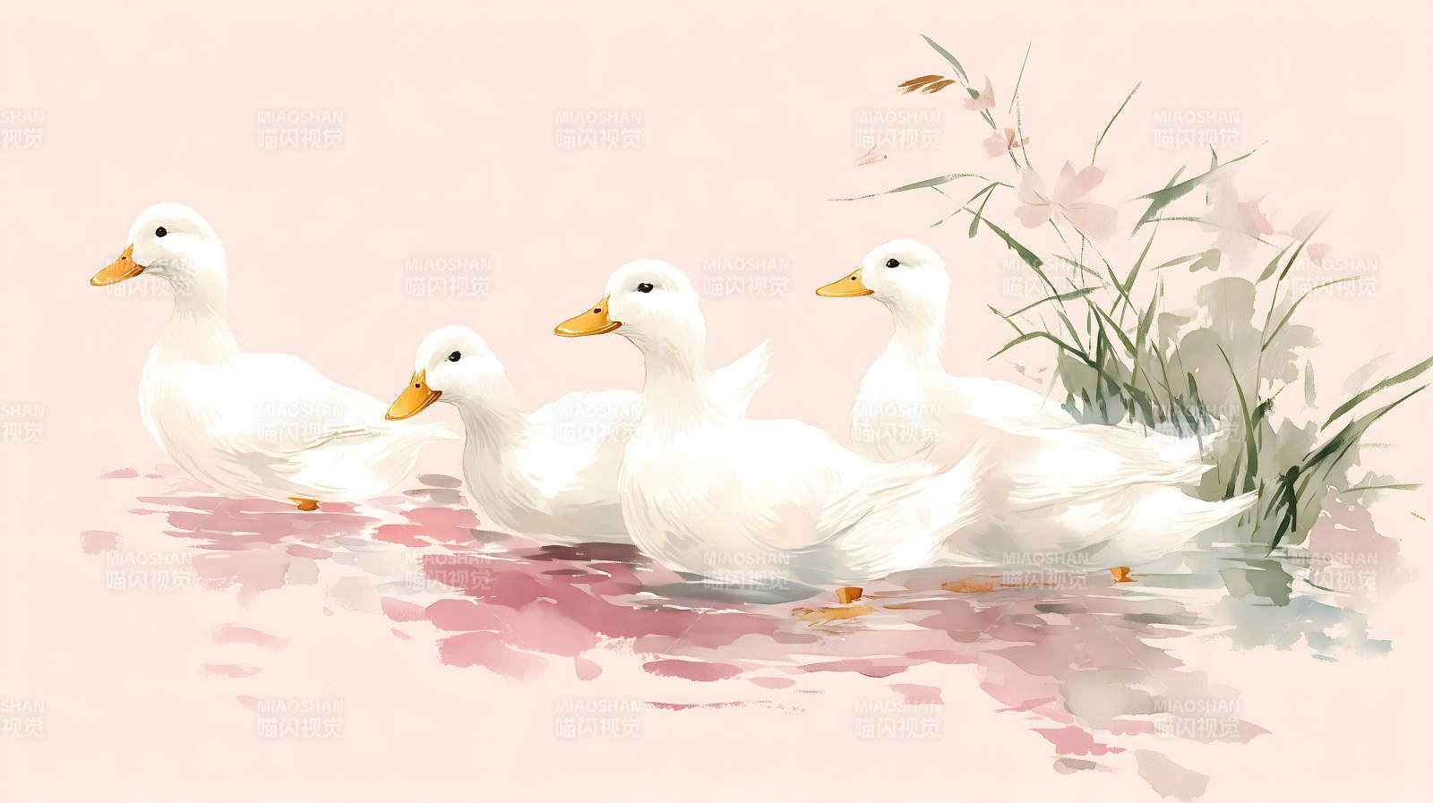 鸭子在水中嬉戏-图片