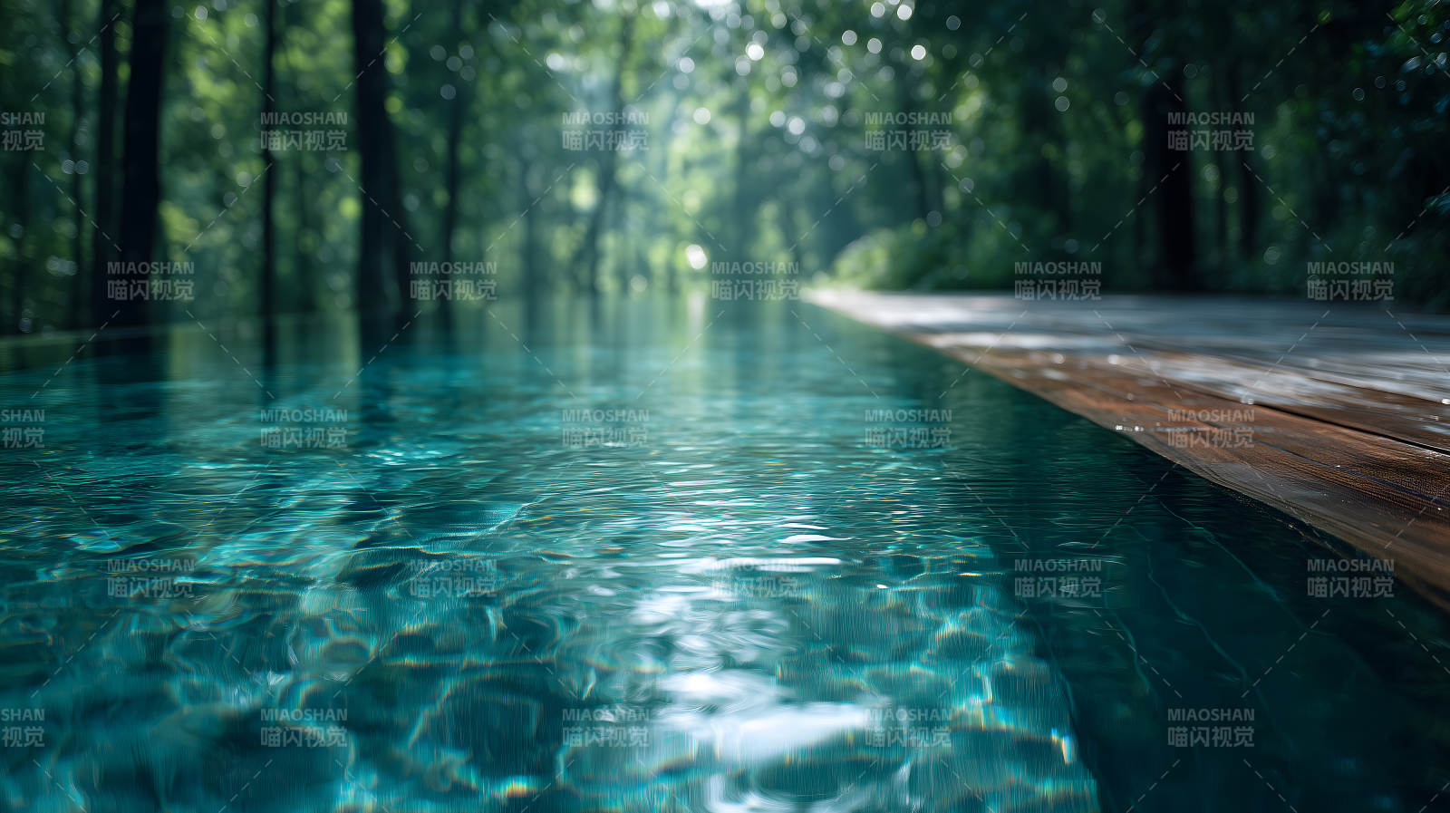 森林旁的泳池碧波蕩漾光影斑駁-圖片