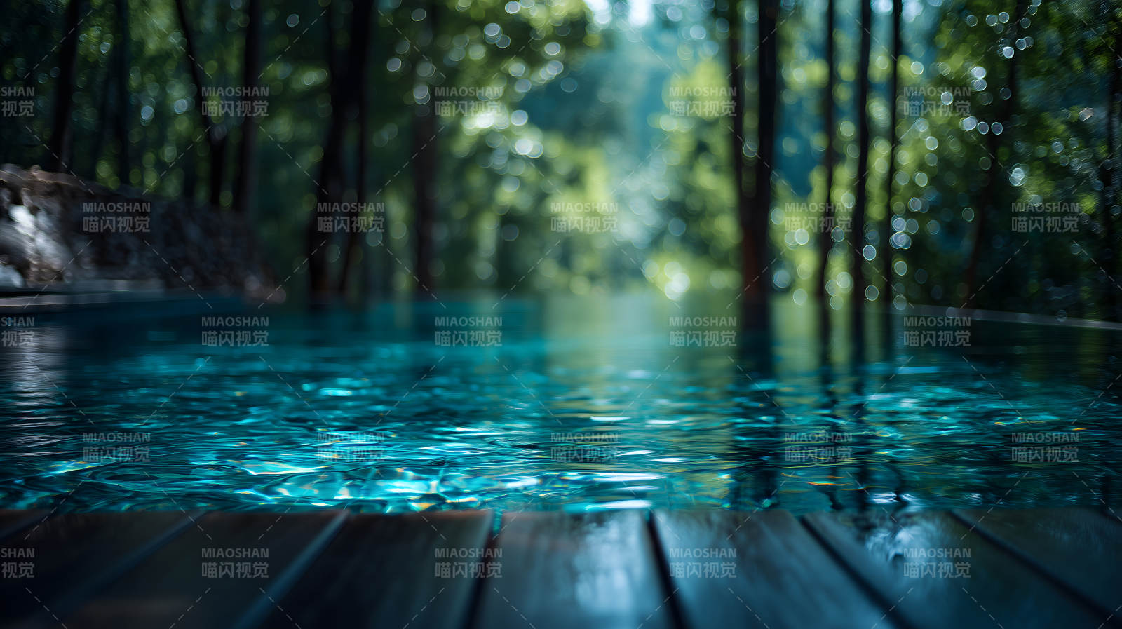 森林水景碧波蕩漾光影交織-圖片