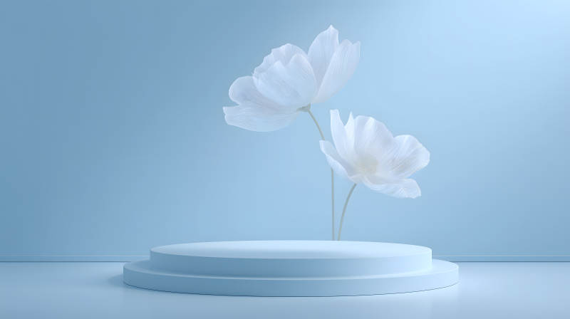 纯净蓝色背景下的花朵和展示台-图片