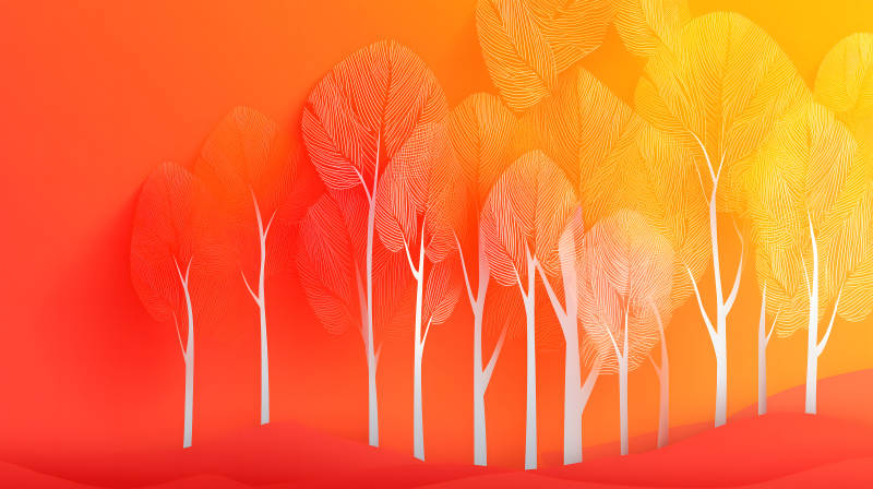 抽象森林秋日景象-圖片