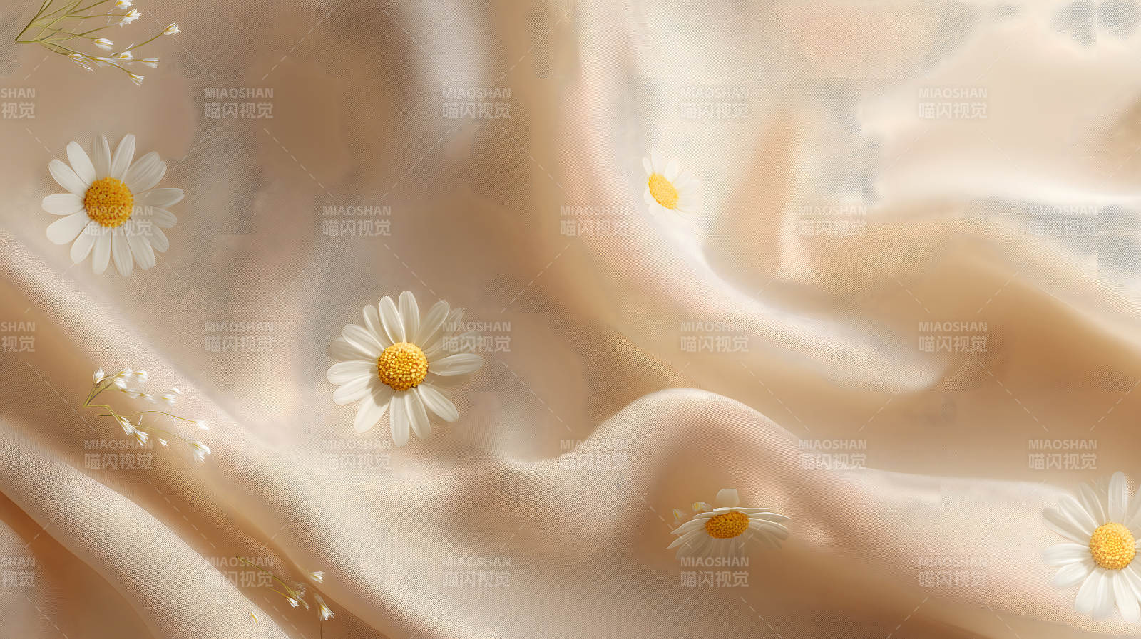 白色雛菊在奶油色絲綢上綻放-圖片