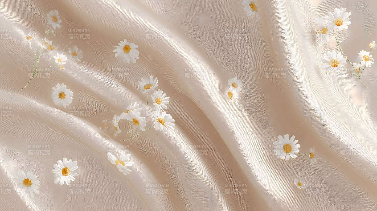 柔美綢緞點(diǎn)綴雛菊-圖片