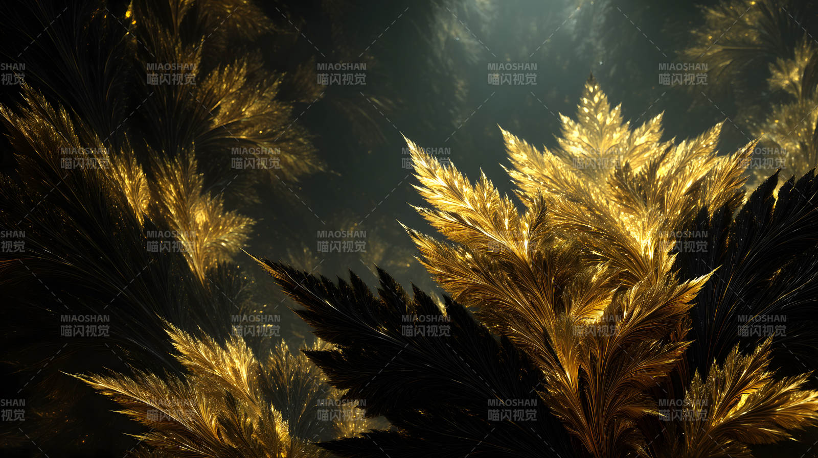 金色羽毛在黑暗背景中閃耀-圖片