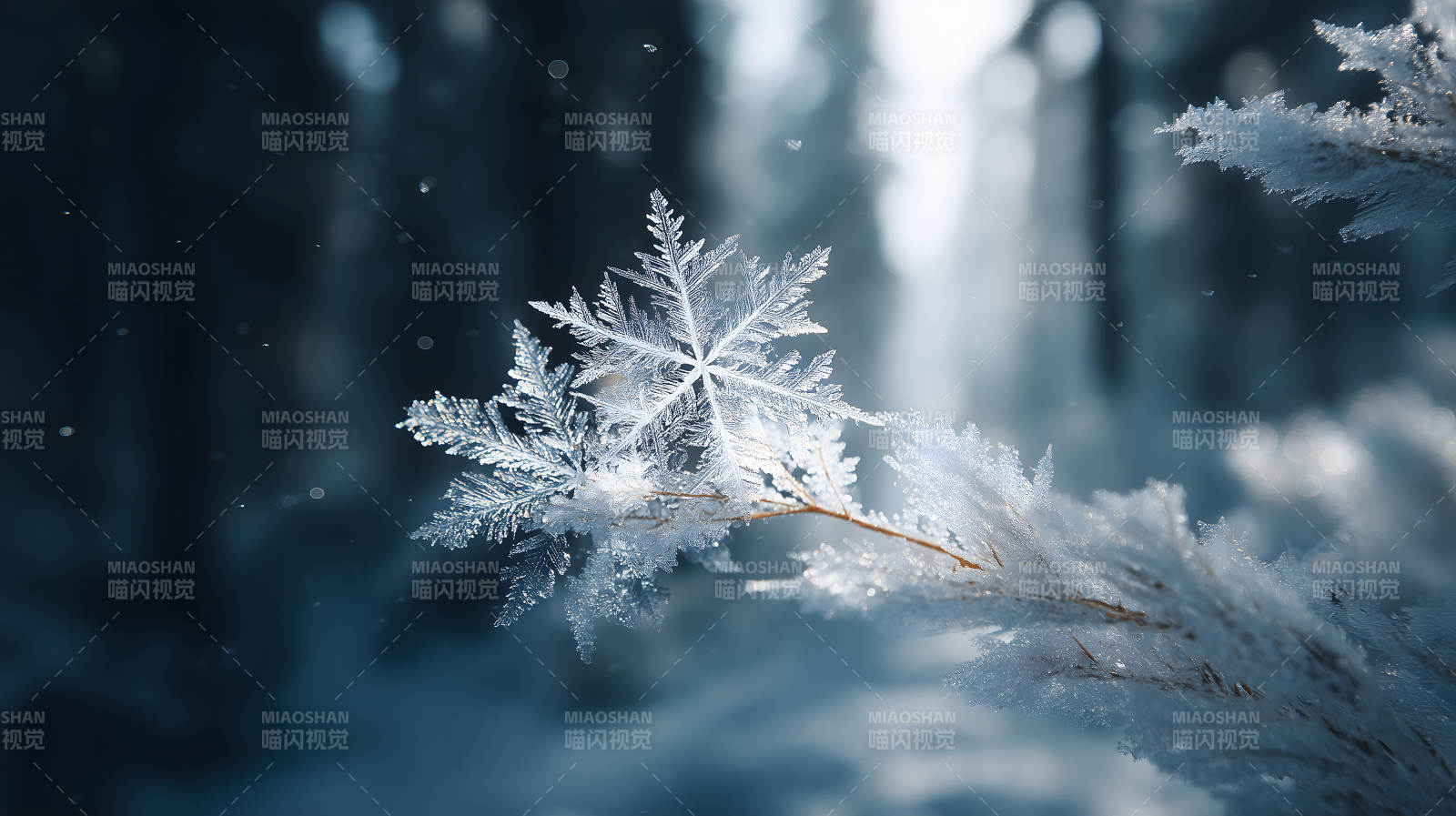 雪花依附于树枝上晶莹剔透-图片