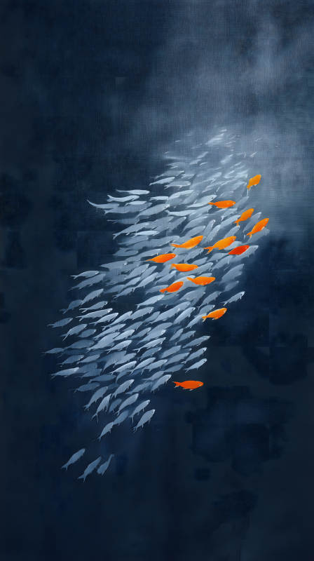 魚群逆流而上鮮明對比-圖片