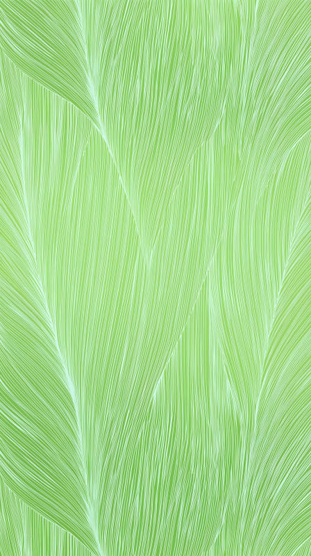 綠色線條組成的抽象圖案-圖片