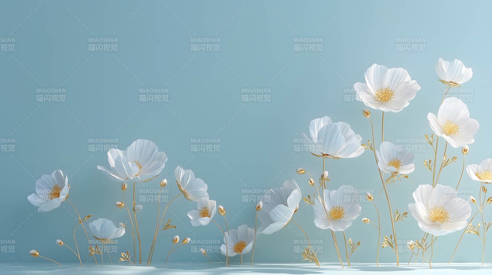 白色花朵背景圖優雅唯美圖片