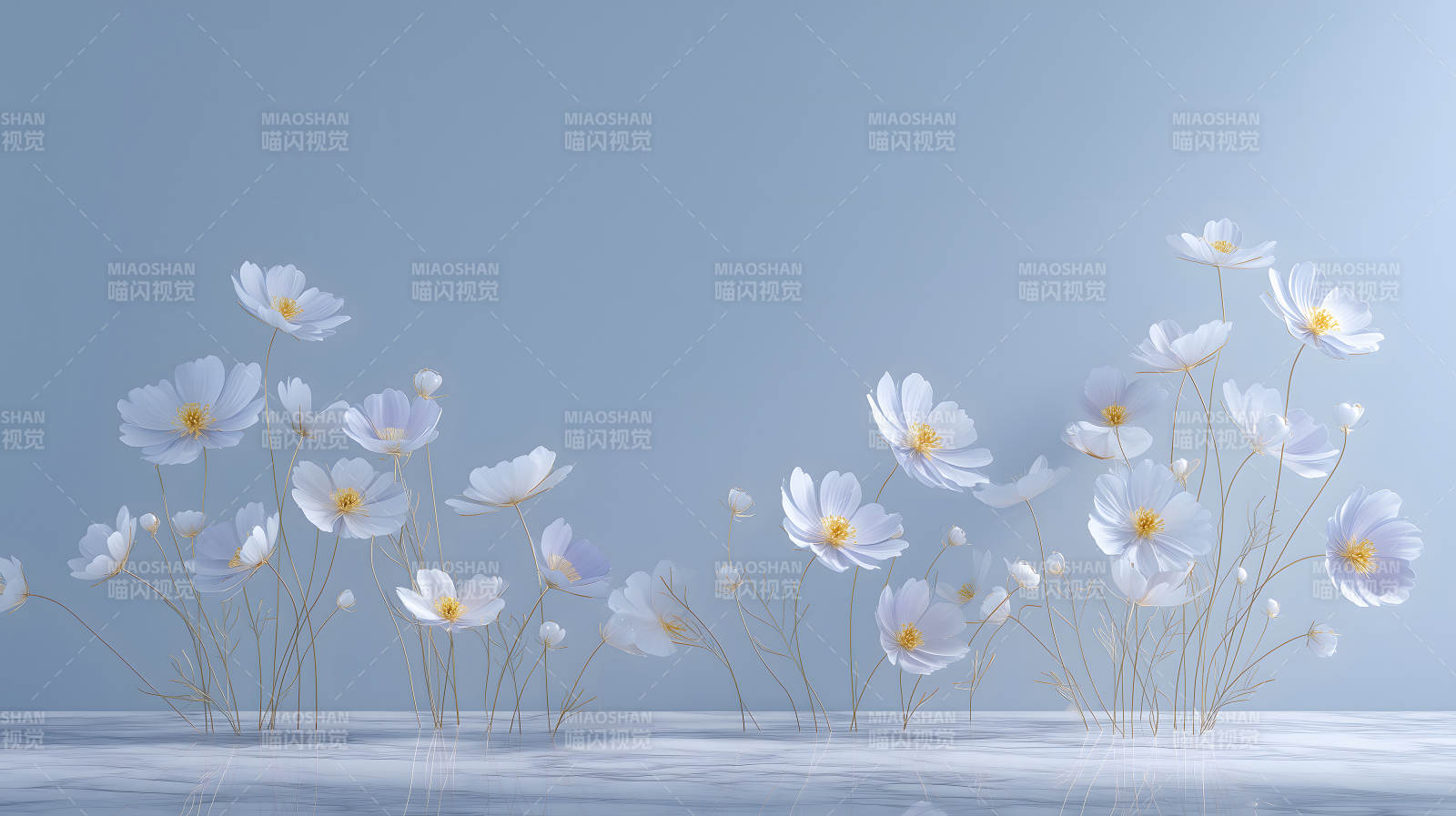 纯净的白色花朵艺术呈现-图片