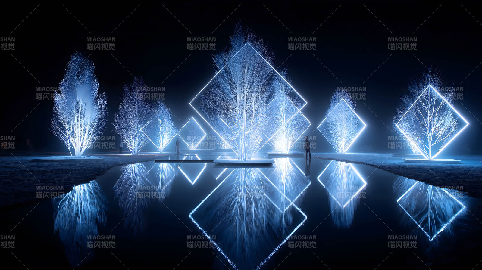 夜幕下的光影樹與倒影-圖片