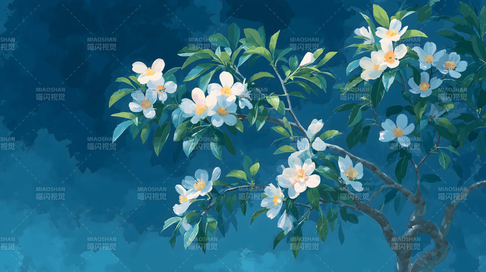 蓝底白花绽放枝头-图片