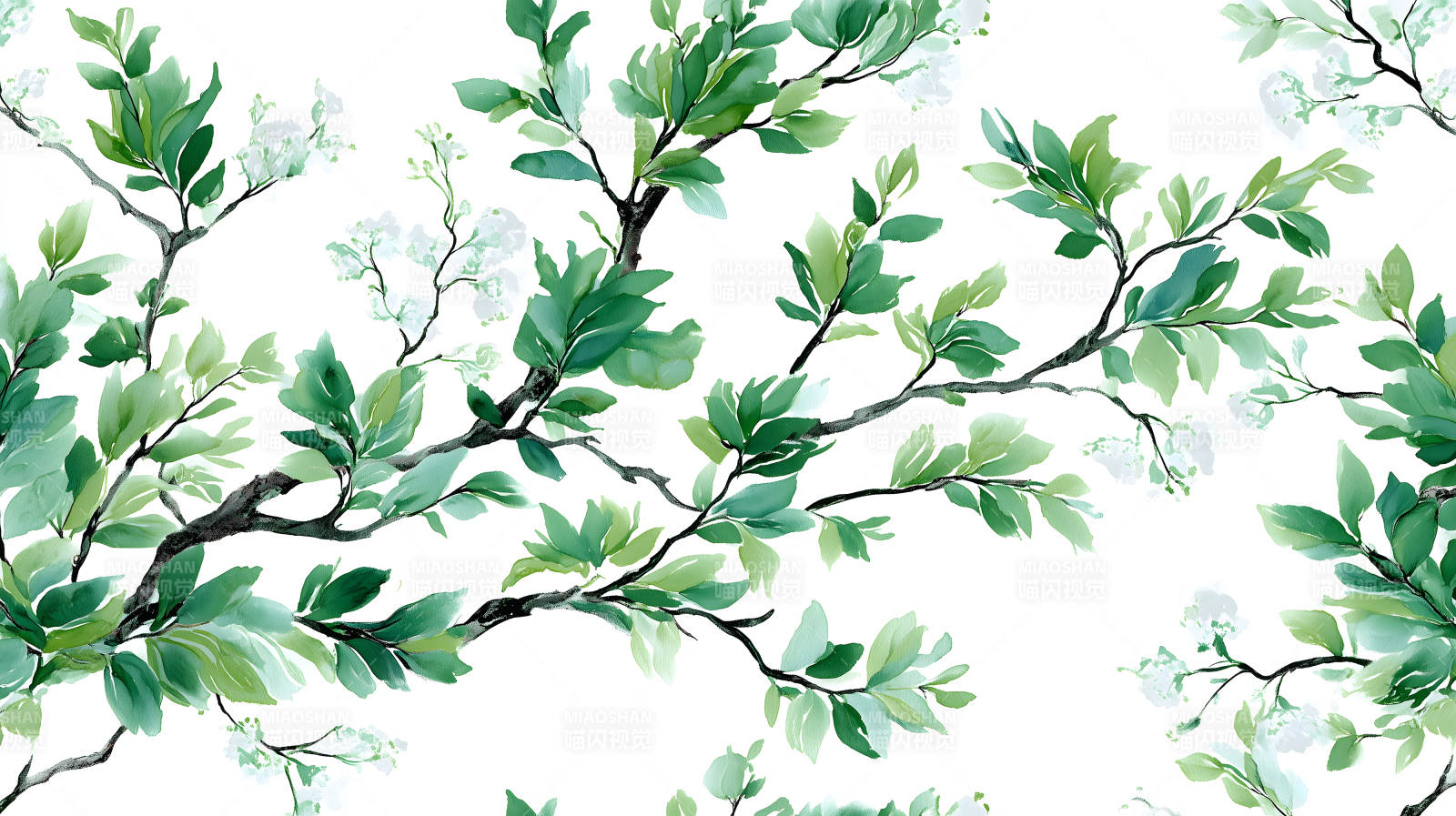 水彩風(fēng)格的綠葉枝條圖圖片