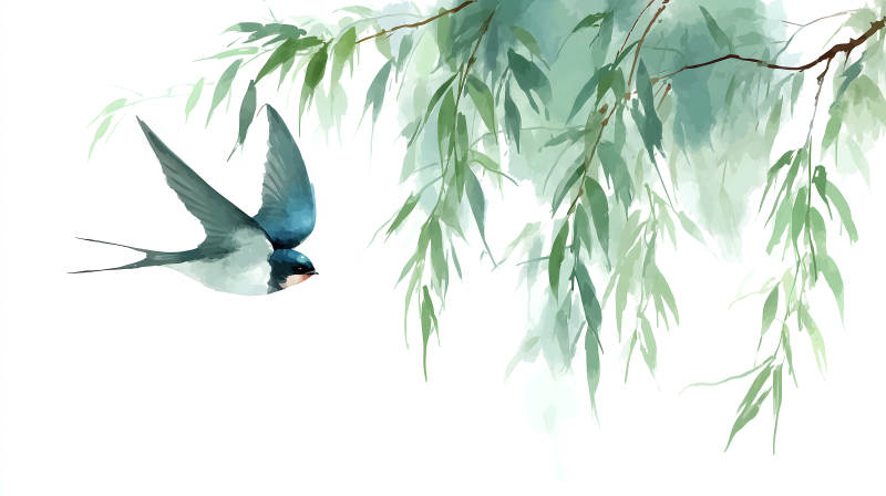 水墨風格飛鳥柳枝-圖片