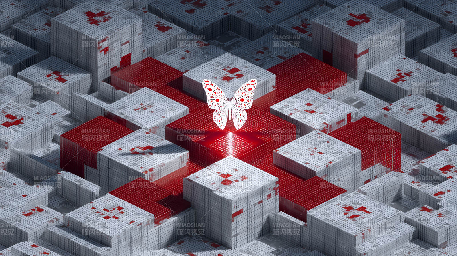 立方体迷宫中的蝴蝶图案-图片