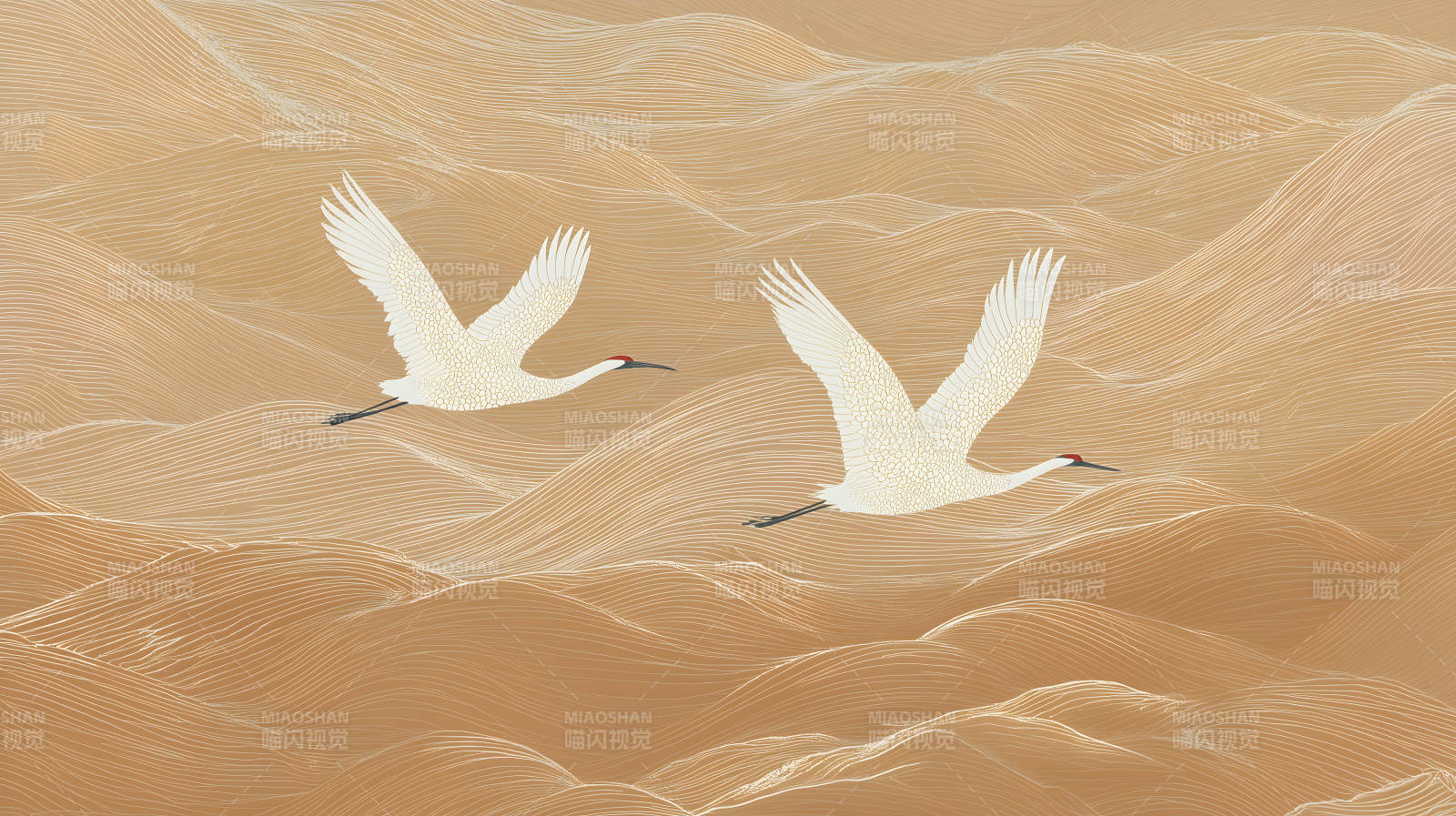 兩只鶴翱翔在沙丘之上-圖片
