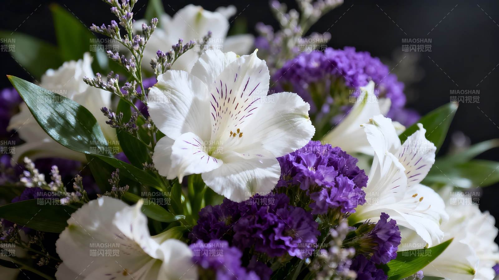 美麗花束特寫鏡頭-圖片