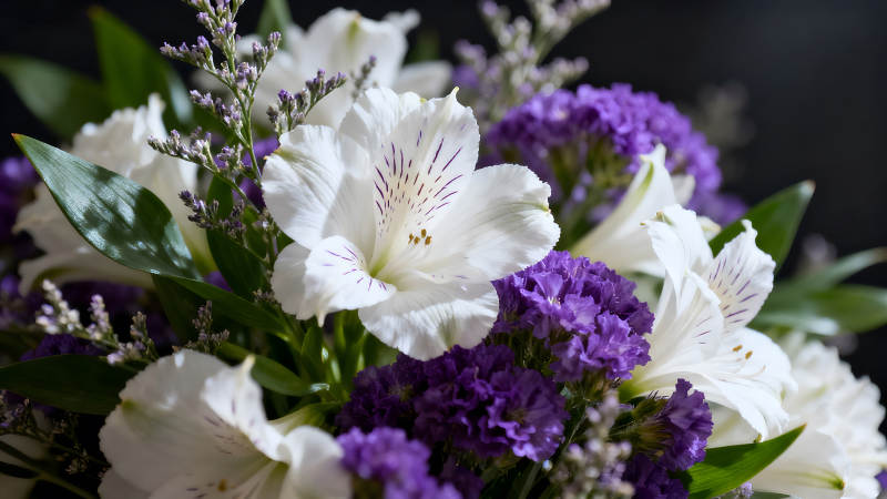 美麗花束特寫鏡頭-圖片