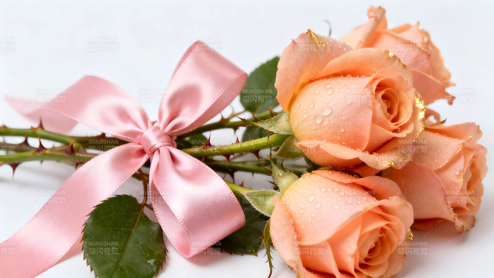 粉色絲帶玫瑰花束特寫-圖片