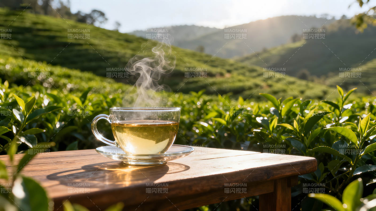茶杯置于茶园木桌茶香弥漫-图片